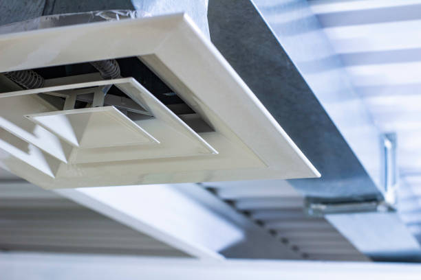 Best Best Air Duct Cleaning Company  in Dayton, NV