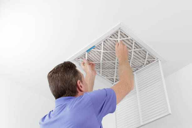 Best Dryer Vent Cleaning Services  in Dayton, NV
